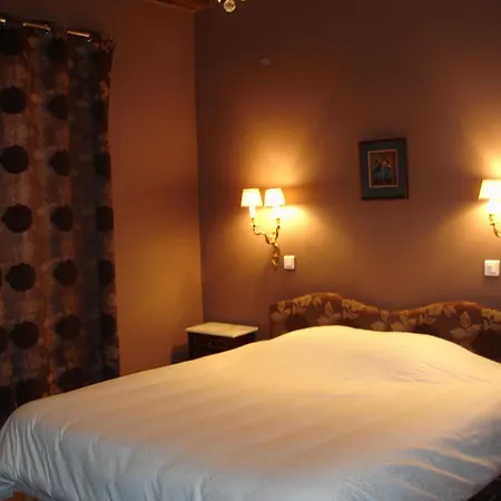 Le Relais Du Lyon D'or 3* Angles-sur-lʼAnglin