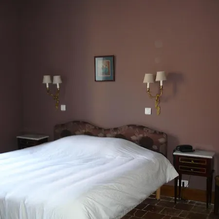 Hotel Le Relais Du Lyon D'or Angles-sur-lʼAnglin