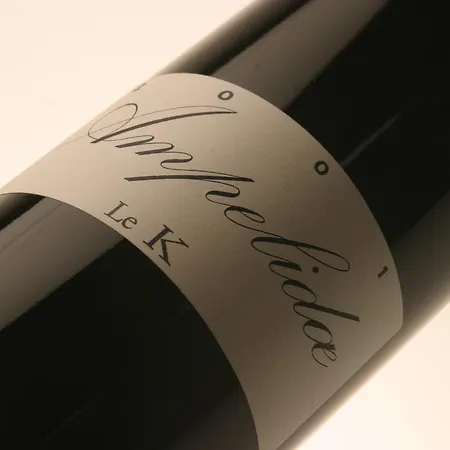 Le Relais Du Lyon D'or Angles-sur-lʼAnglin