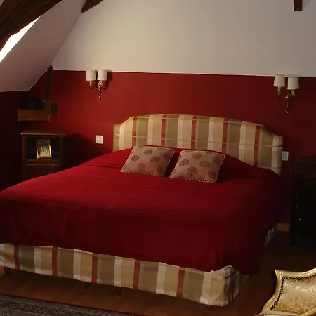 Hotel Le Relais Du Lyon D'or Angles-sur-l'Anglin