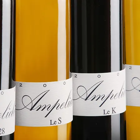 Hotel Le Relais Du Lyon D'or